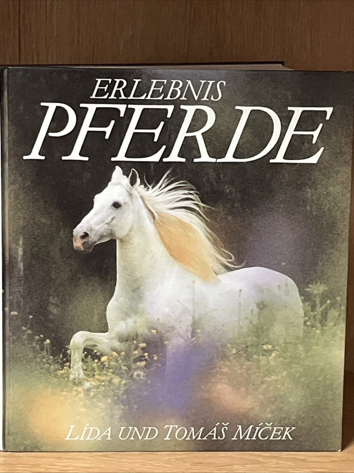 Erlebnis Pferde by Lída and Tomáš Míček