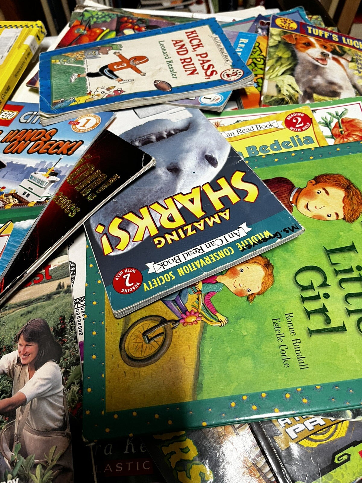 Bulk Lot of 20 Children's Paperback Picture Books Random Mix - acceptable