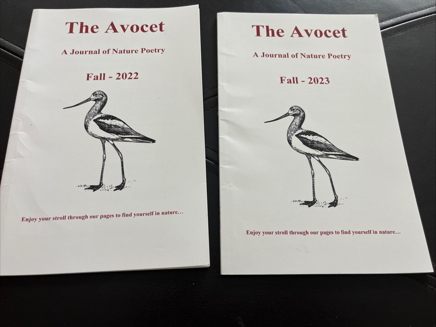 The Avocet : A Jouney of Nature Poetry Fall 2022 - 2023