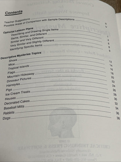 Critical Thinking Activities to Improve Writing : Descriptive Mysteries A-1