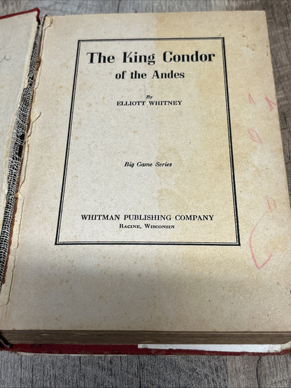 The King Condor of the Andes by Elliot Whitney 1915 Vintage Book