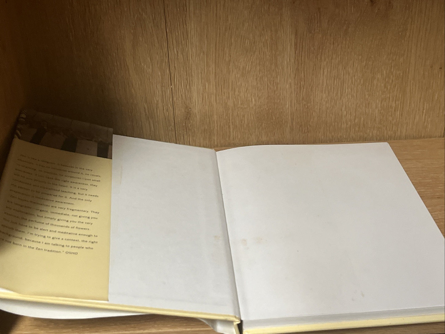 Zen Book Lot of 2  Wolfgang Kopp & OSHO Zen History Teaching Human Consciousness