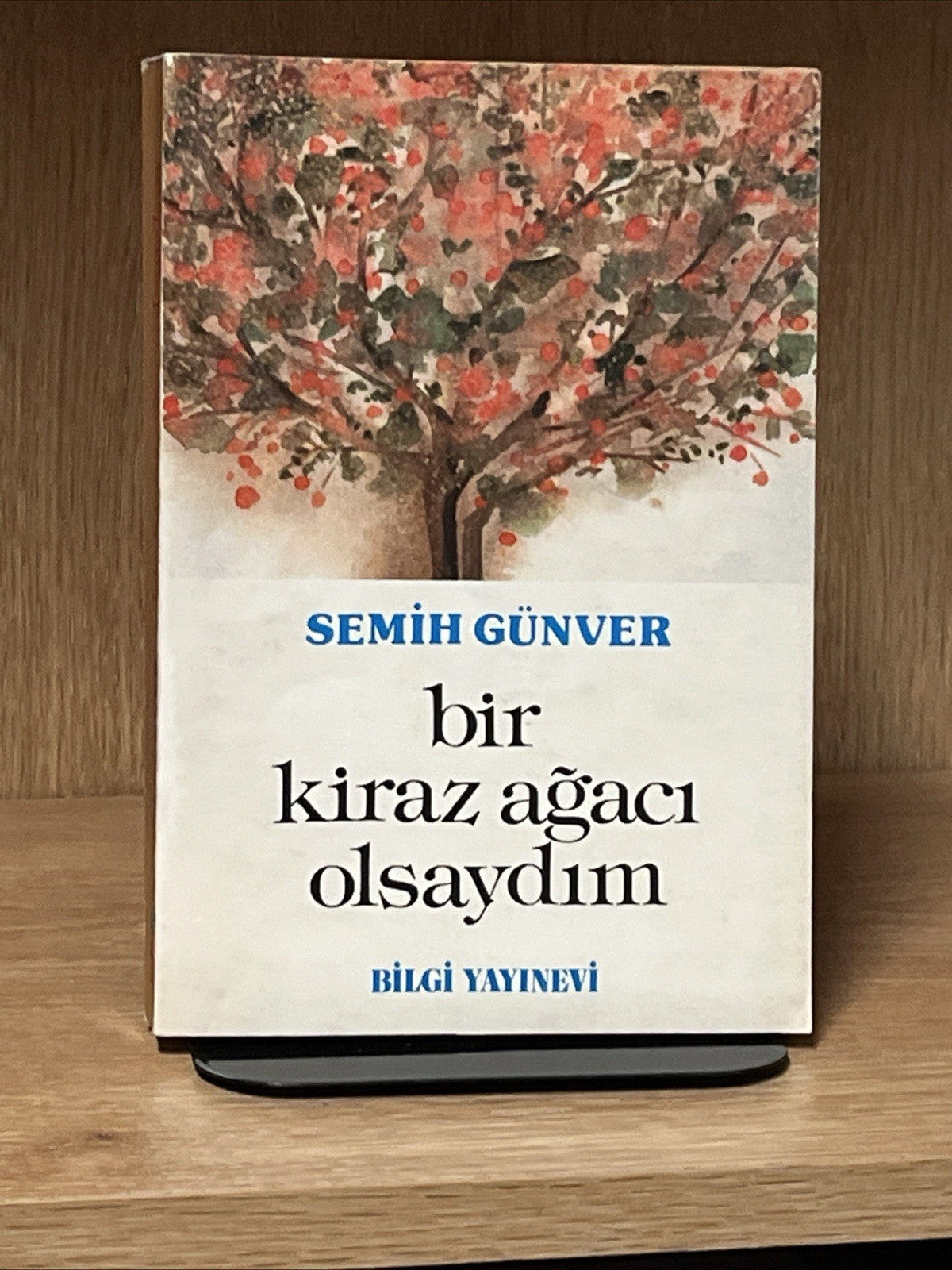 SEMIH GUNVER, BİR KİRAZ AĞACI OLSAYDIM BiLGI YAYINEVI Bir Hariciyecinin Anilari