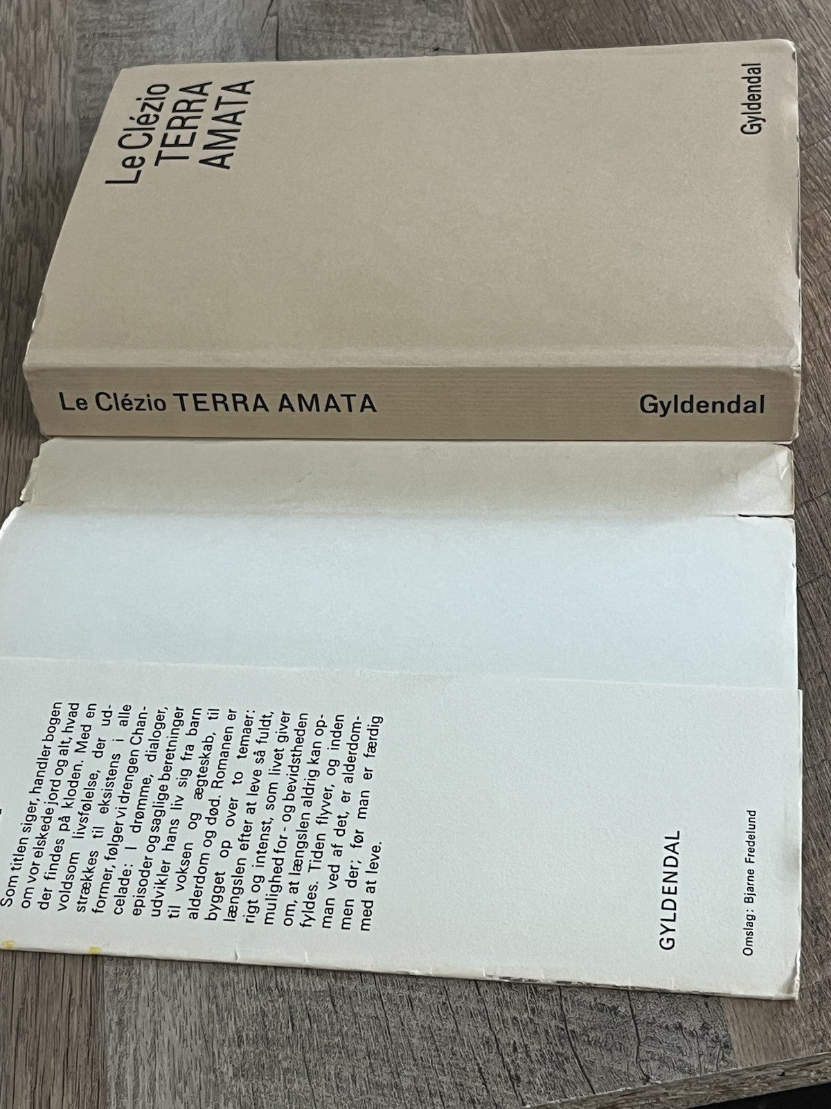 J. M. G. Le Clézio / Terra Amata ( Danish Edition ) 1969