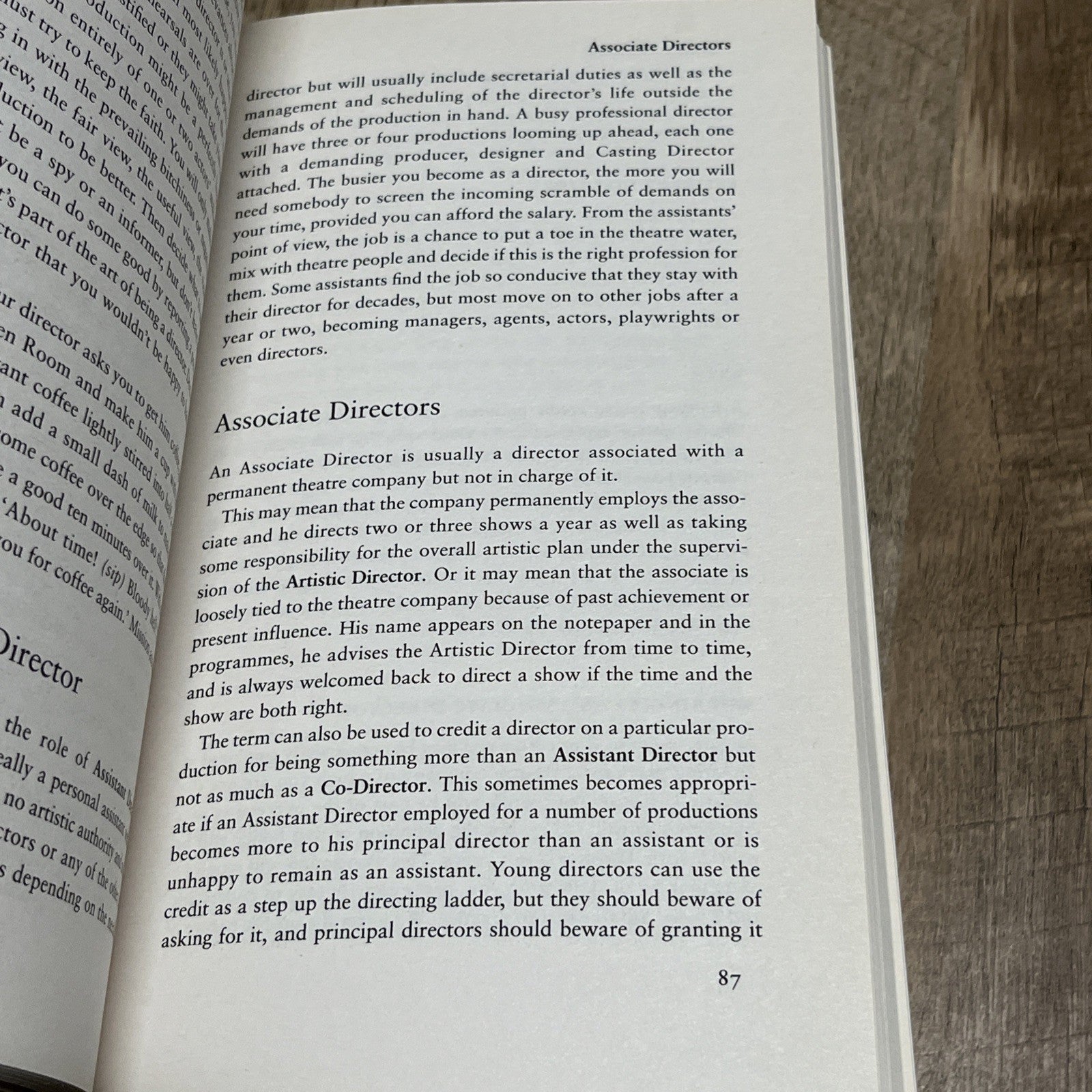 Theatre Craft: A Director's Practical Companion from A to Z by John Caird