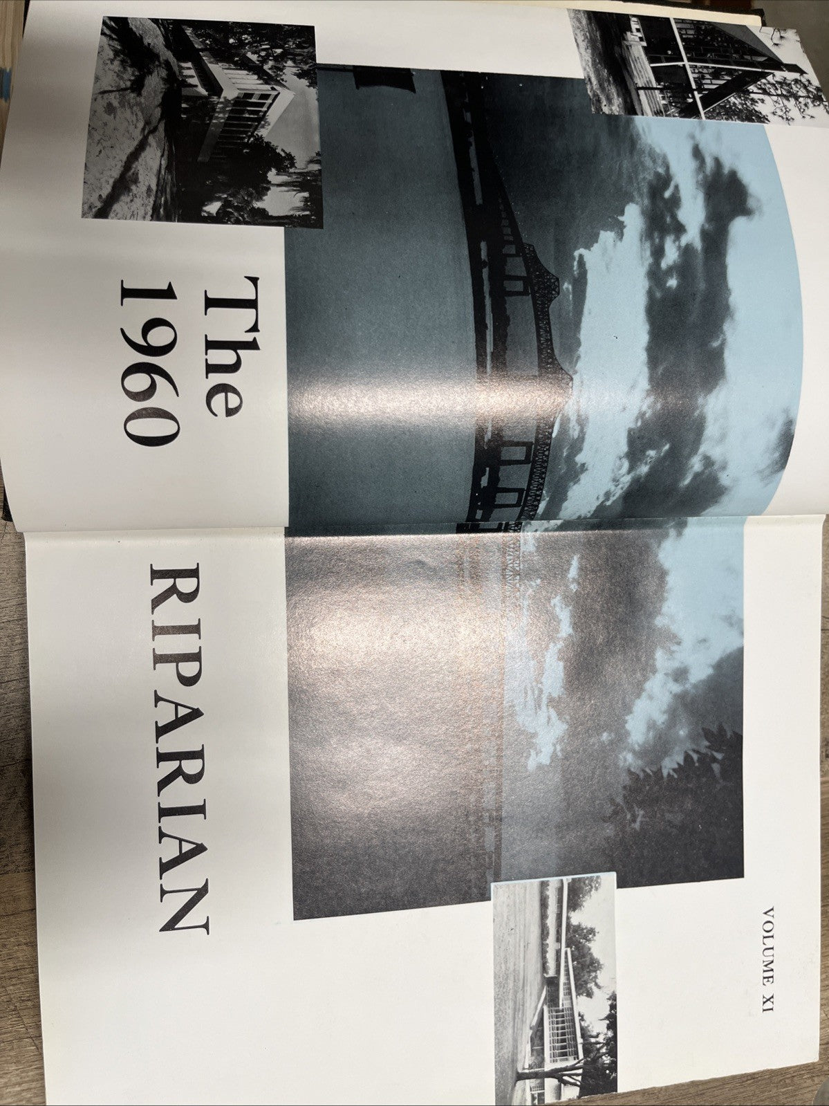 The 1960 Riparian Volume XI Jacksonville Florida Yearbook