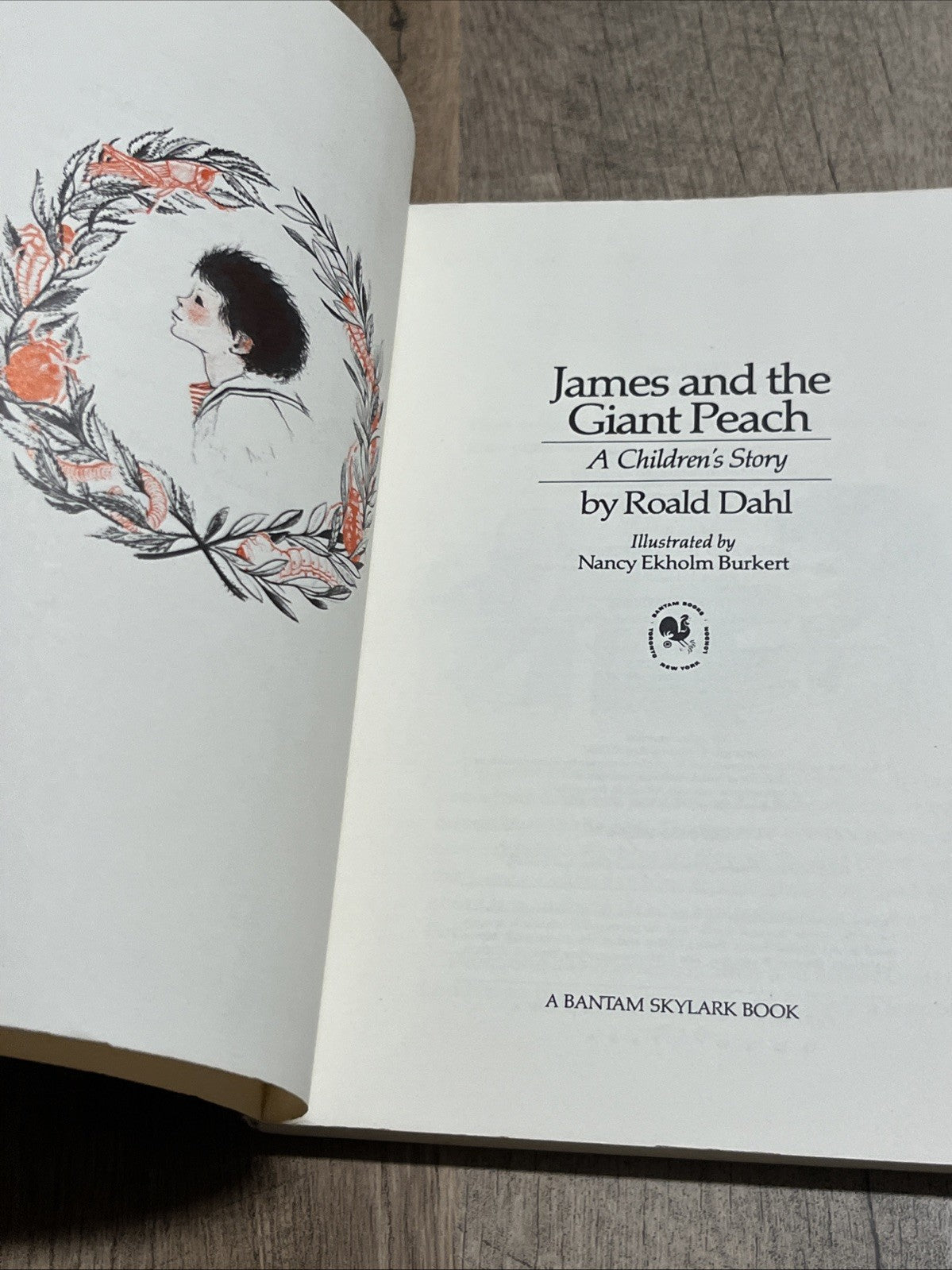James and the Giant Peach by Raold Dahl 1980 Bantam Skylark First Edt Paperback