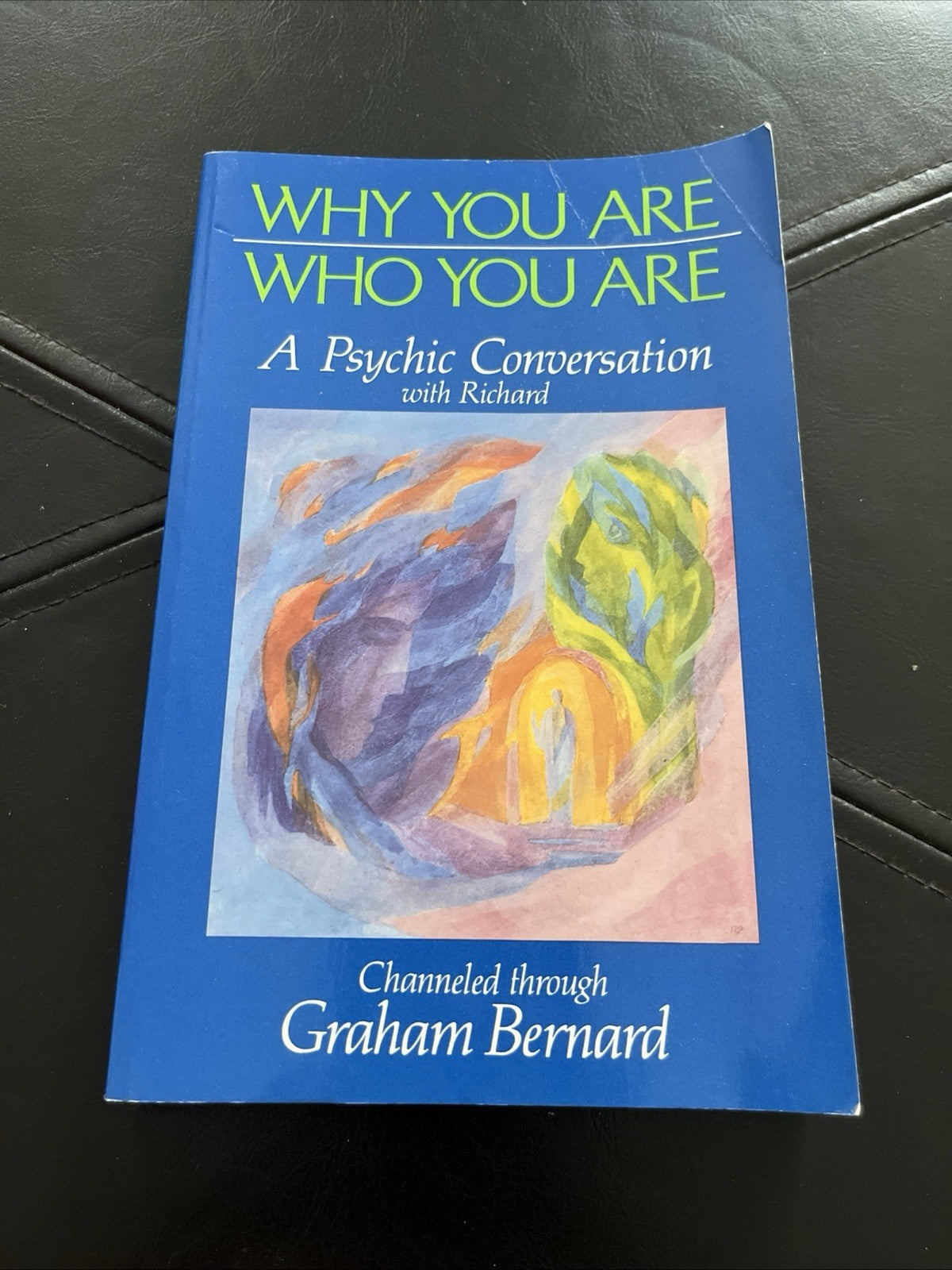 Why You Are Who You Are : A Conversation with Richard 1st Ed Graham Bernard 1985