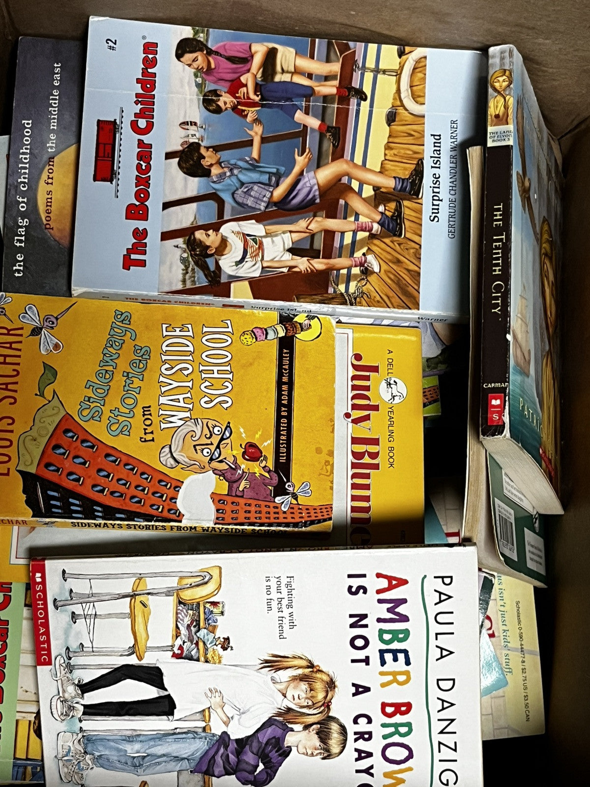 Bulk/Huge Lot of 40 Children's Kids Chapter Books - Random - Free Shipping!