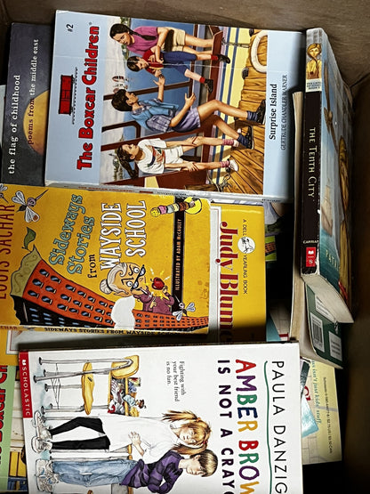 Bulk/Huge Lot of 40 Children's Kids Chapter Books - Random - Free Shipping!
