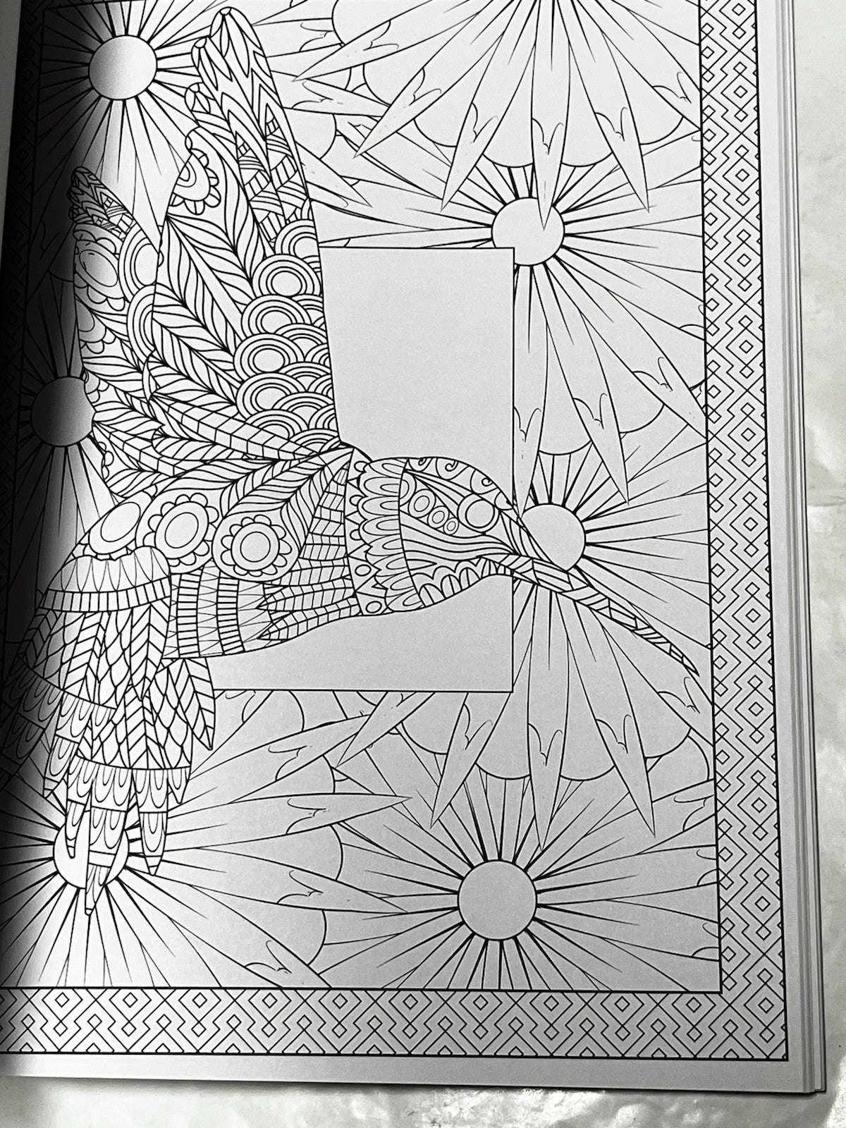 Creatures or Beauty Timeless Creaions Cra--Z-Art
